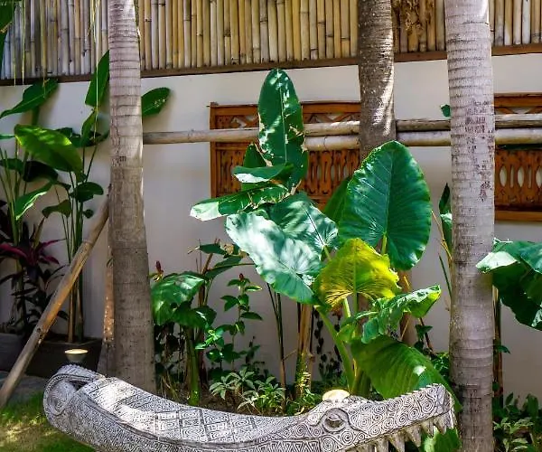 Nabi By Alfred In Bali *